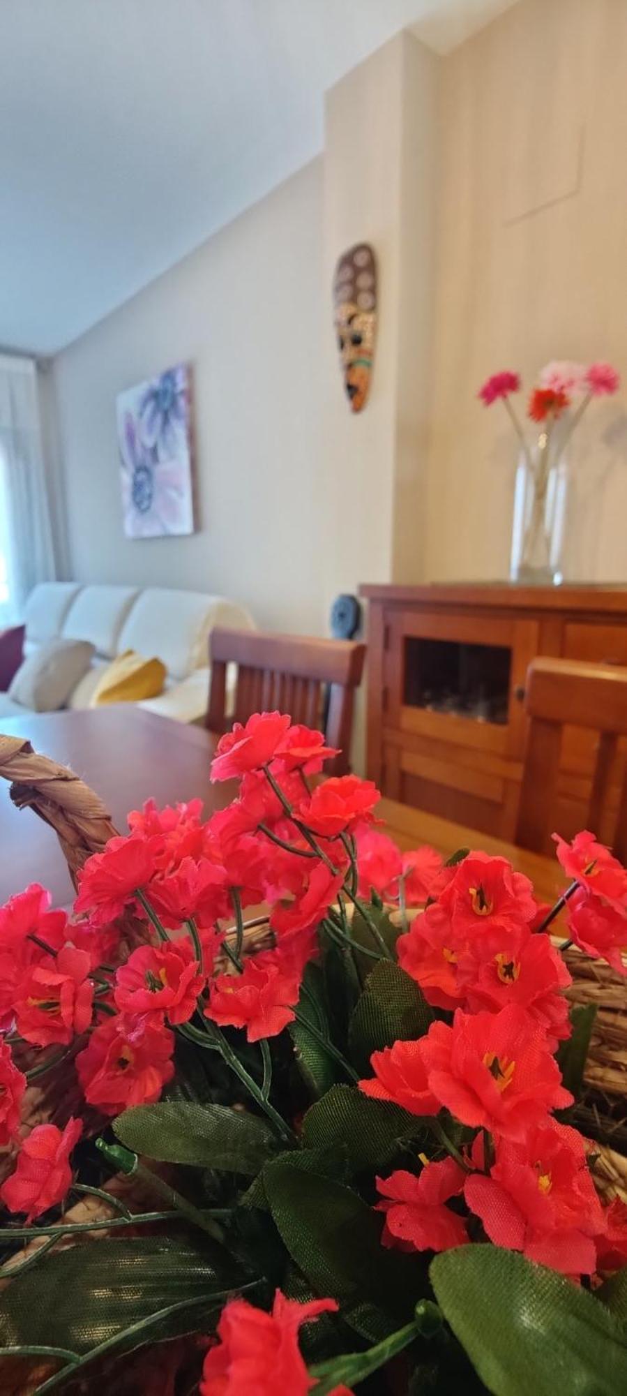 Appartement Ca l'Esmolet à Tremp Extérieur photo