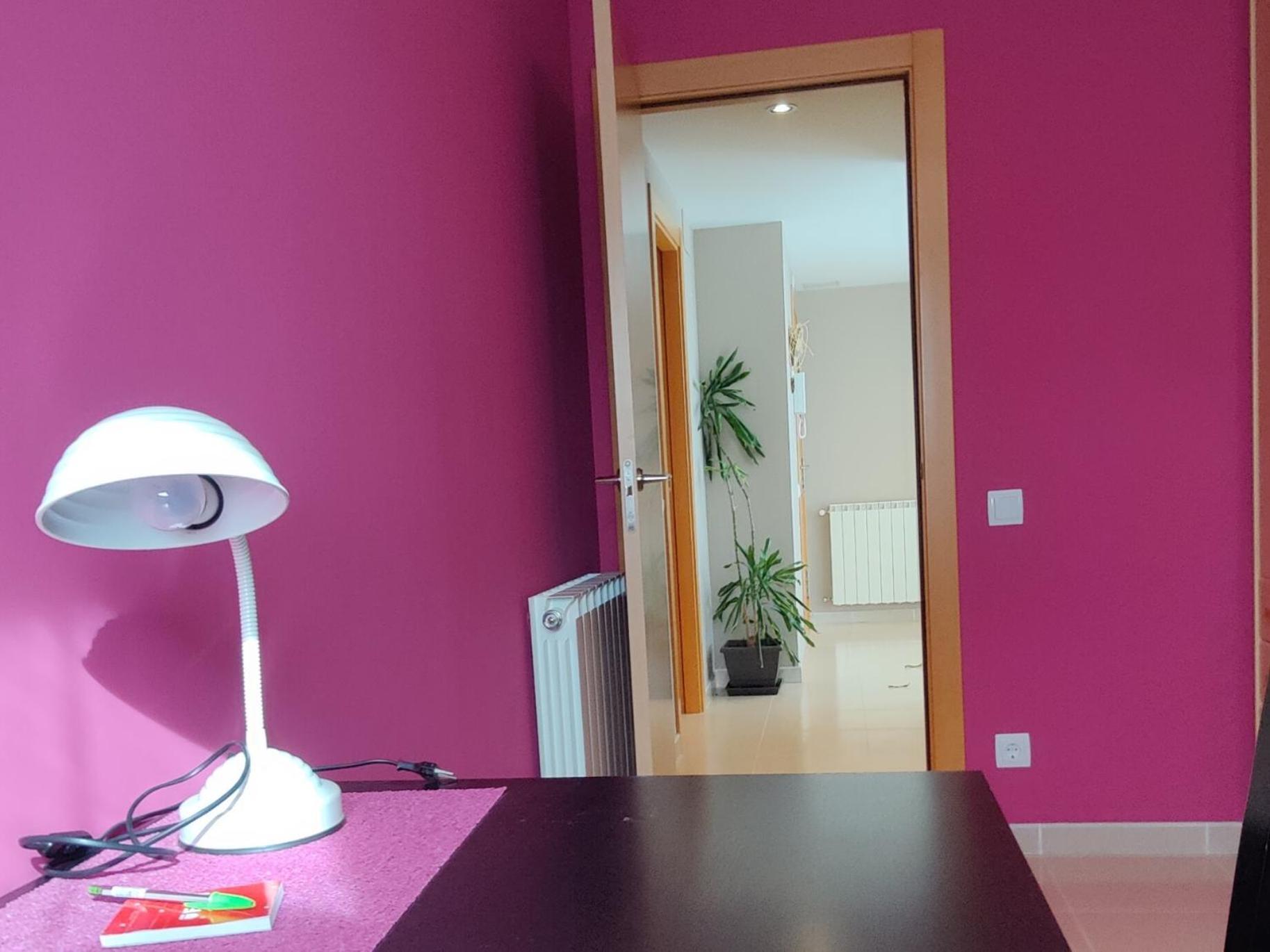 Appartement Ca l'Esmolet à Tremp Extérieur photo